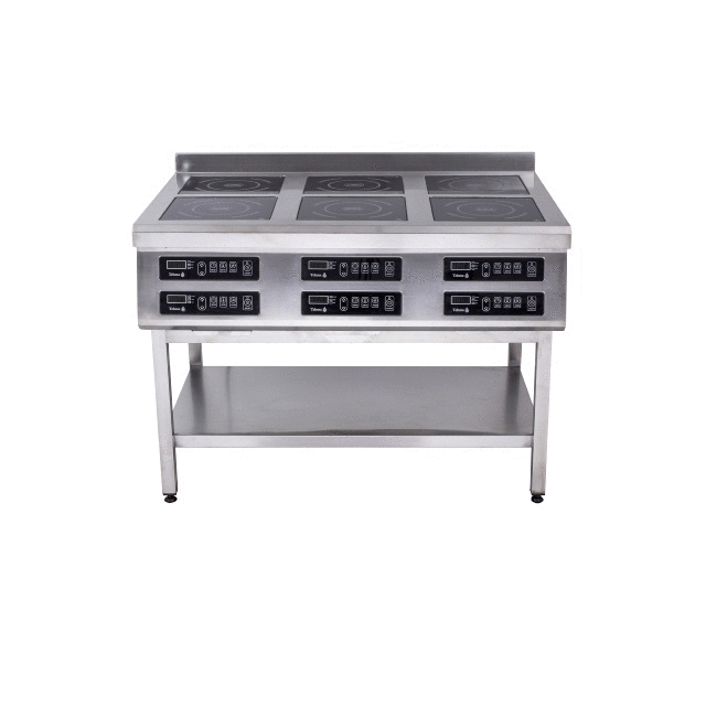 Induktionsherd Tehma 800, 6 Brenner stationär 21KW